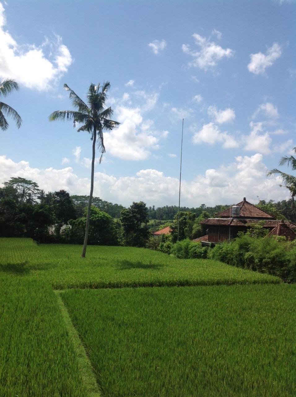 Uma Dhari Villa by Prasi Ubud Exteriör bild
